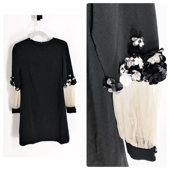 Apparalel Dresses & Skirts - Apparalel Flower Appliqué Sheer Sleeves Sz XS